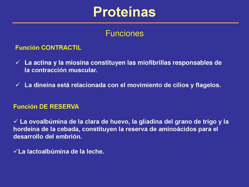 funciones de la proteinas contractiles